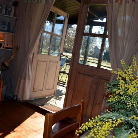 Gite Foret Landaise Sainte-Eulalie-en-Born Exterior foto