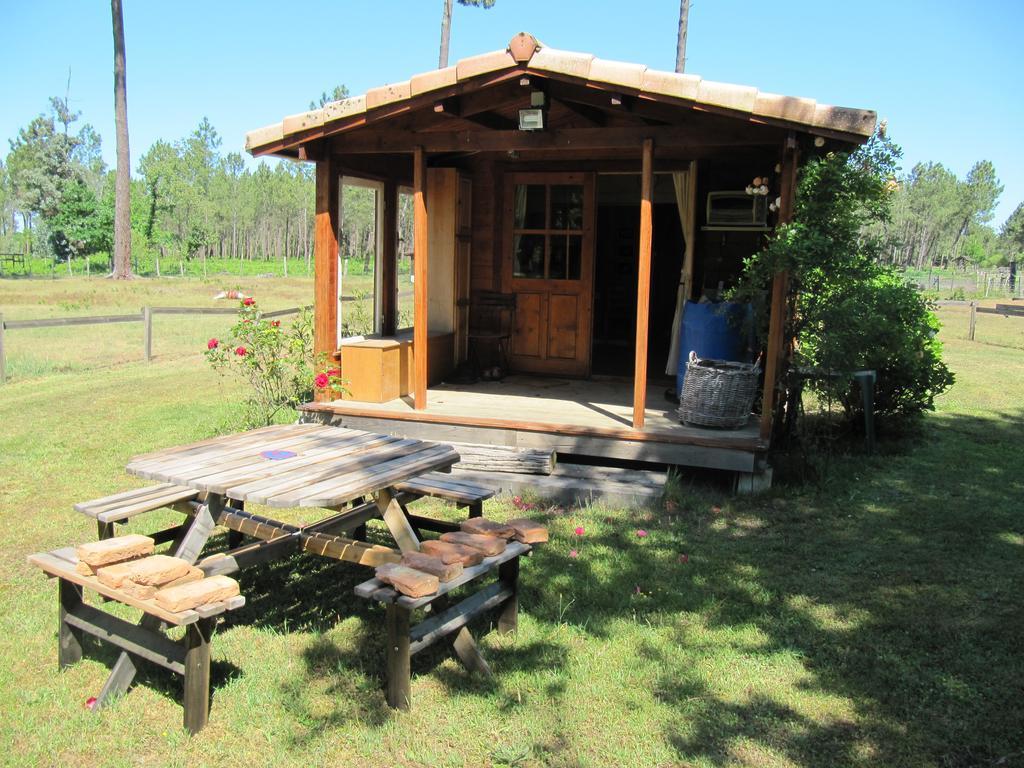 Gite Foret Landaise Sainte-Eulalie-en-Born Exterior foto