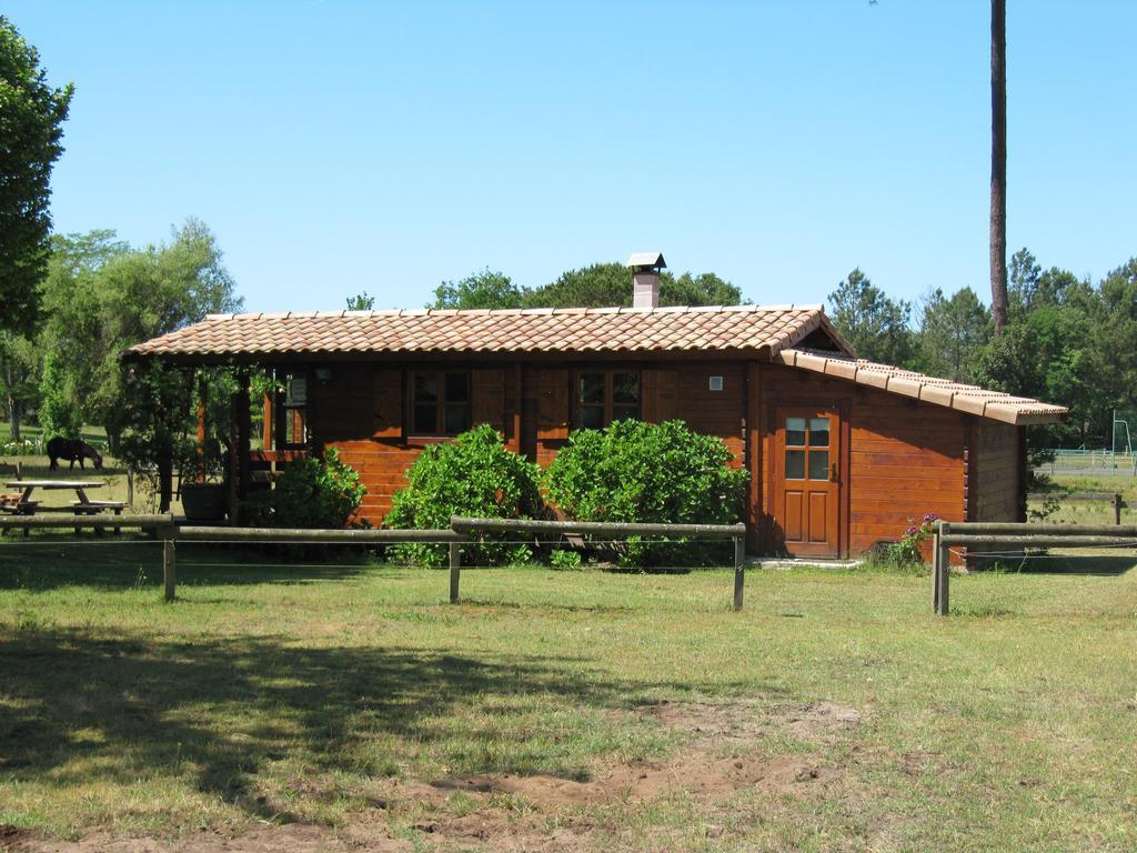 Gite Foret Landaise Sainte-Eulalie-en-Born Exterior foto