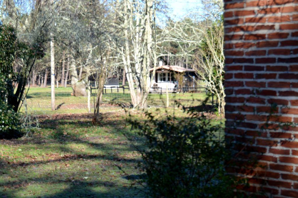 Gite Foret Landaise Sainte-Eulalie-en-Born Exterior foto